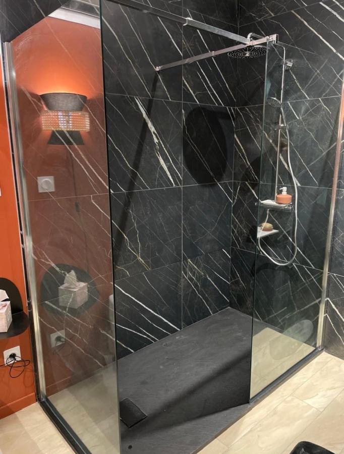 Colombier-Saugnieu Studio Cosy Tt Confort Proche Aeroport מראה חיצוני תמונה