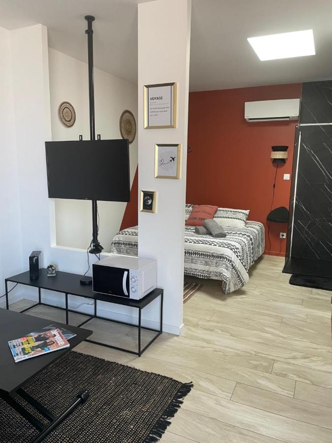Colombier-Saugnieu Studio Cosy Tt Confort Proche Aeroport מראה חיצוני תמונה