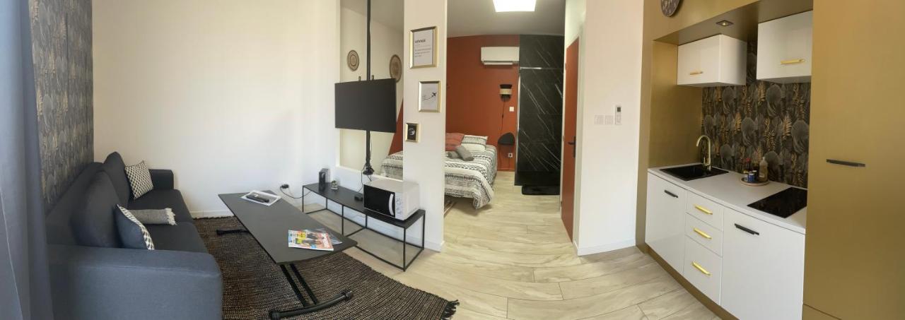Colombier-Saugnieu Studio Cosy Tt Confort Proche Aeroport מראה חיצוני תמונה